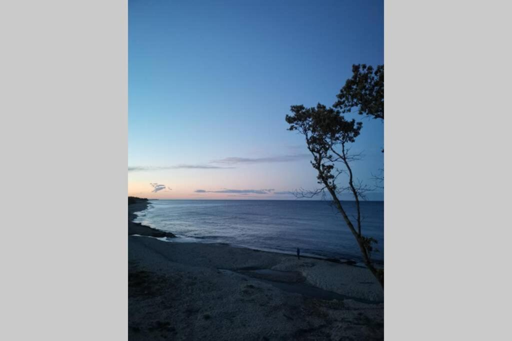Marine De Bravone T2 Terrasse Front De Mer - Plage Pieds Dans L'Eau - Clim - Piscine - Wifi Linguizzetta 외부 사진
