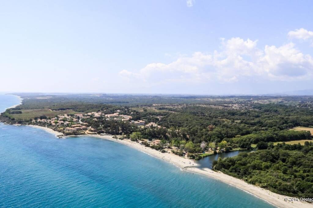 Marine De Bravone T2 Terrasse Front De Mer - Plage Pieds Dans L'Eau - Clim - Piscine - Wifi Linguizzetta 외부 사진