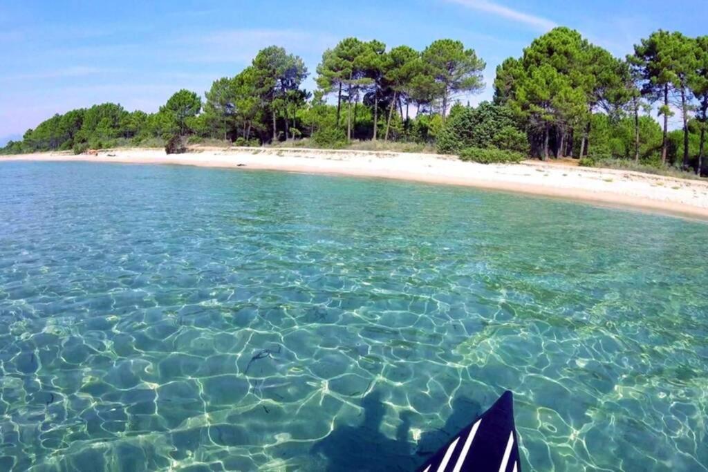 Marine De Bravone T2 Terrasse Front De Mer - Plage Pieds Dans L'Eau - Clim - Piscine - Wifi Linguizzetta 외부 사진
