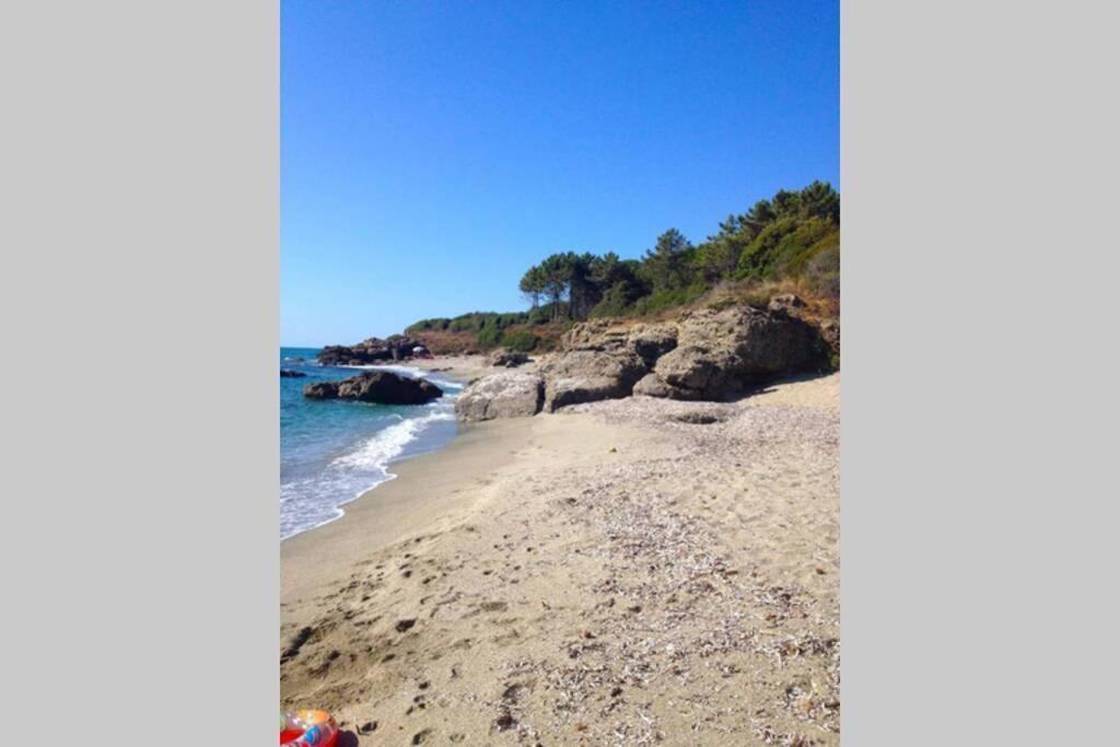 Marine De Bravone T2 Terrasse Front De Mer - Plage Pieds Dans L'Eau - Clim - Piscine - Wifi Linguizzetta 외부 사진
