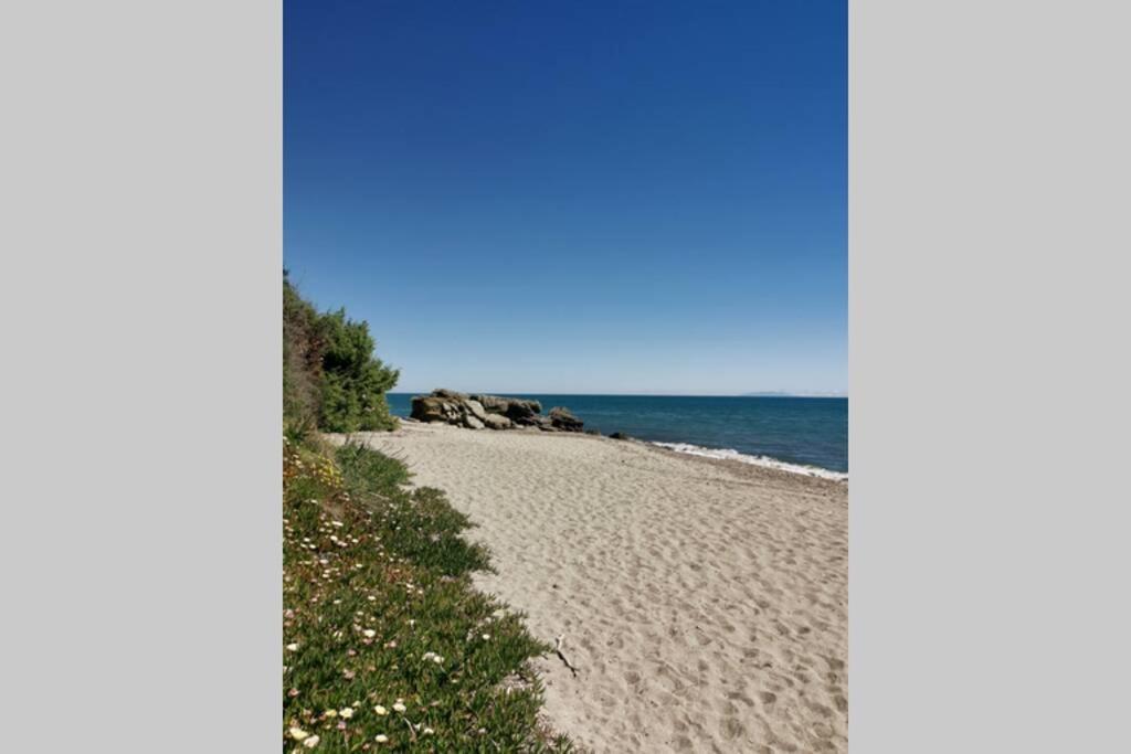 Marine De Bravone T2 Terrasse Front De Mer - Plage Pieds Dans L'Eau - Clim - Piscine - Wifi Linguizzetta 외부 사진